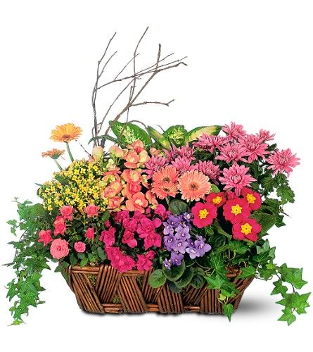 European Garden Basket European Garden Basket